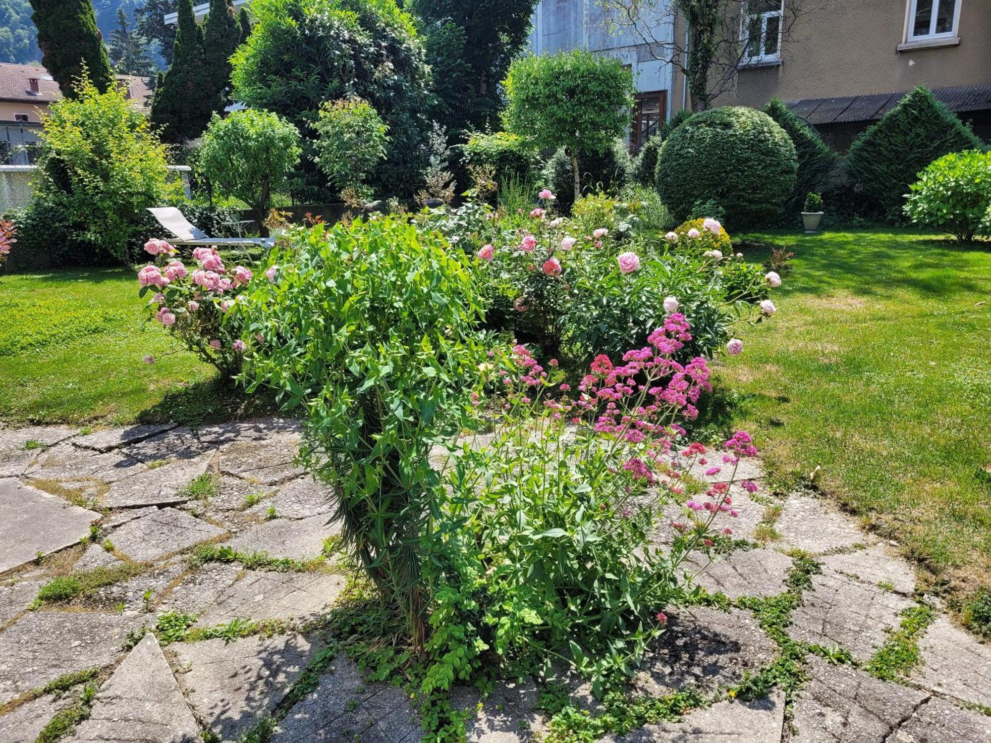 Appartamento Les Colibris - Standing Et Jardin - 3 Etoiles Cluses Esterno foto